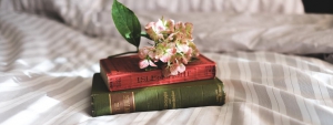 Lorem ipsum dolor sit amet consectetur